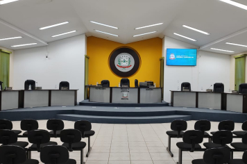 29ª SESSÃO ORDINÁRIA DE 2025 – 16ª LEGISLATURA.