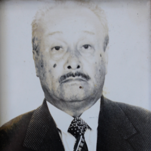 Francisco Martins Ferreira